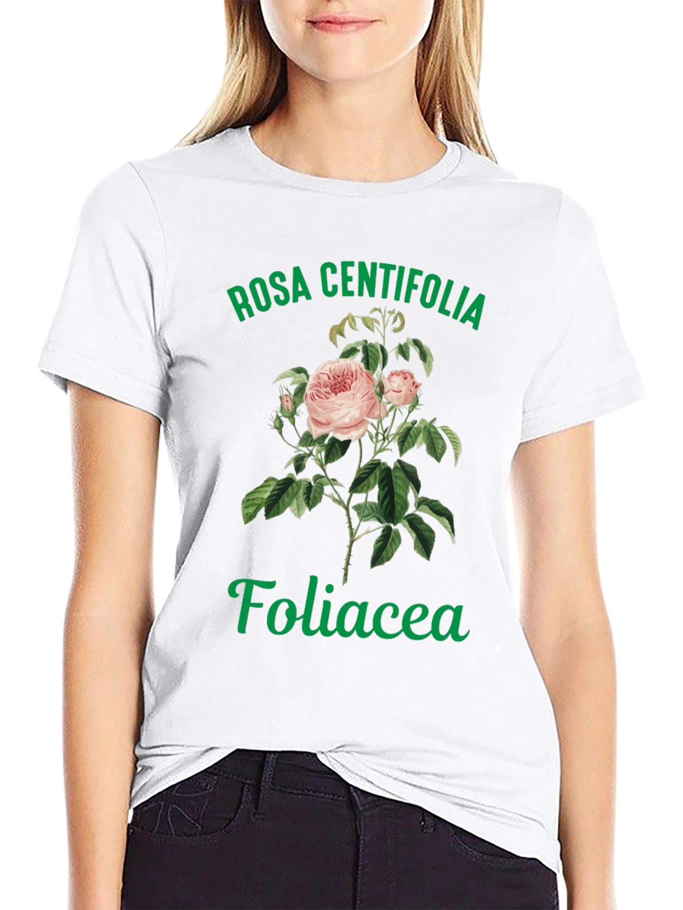 Rosa Centifolia Foliacea Graphic Tee