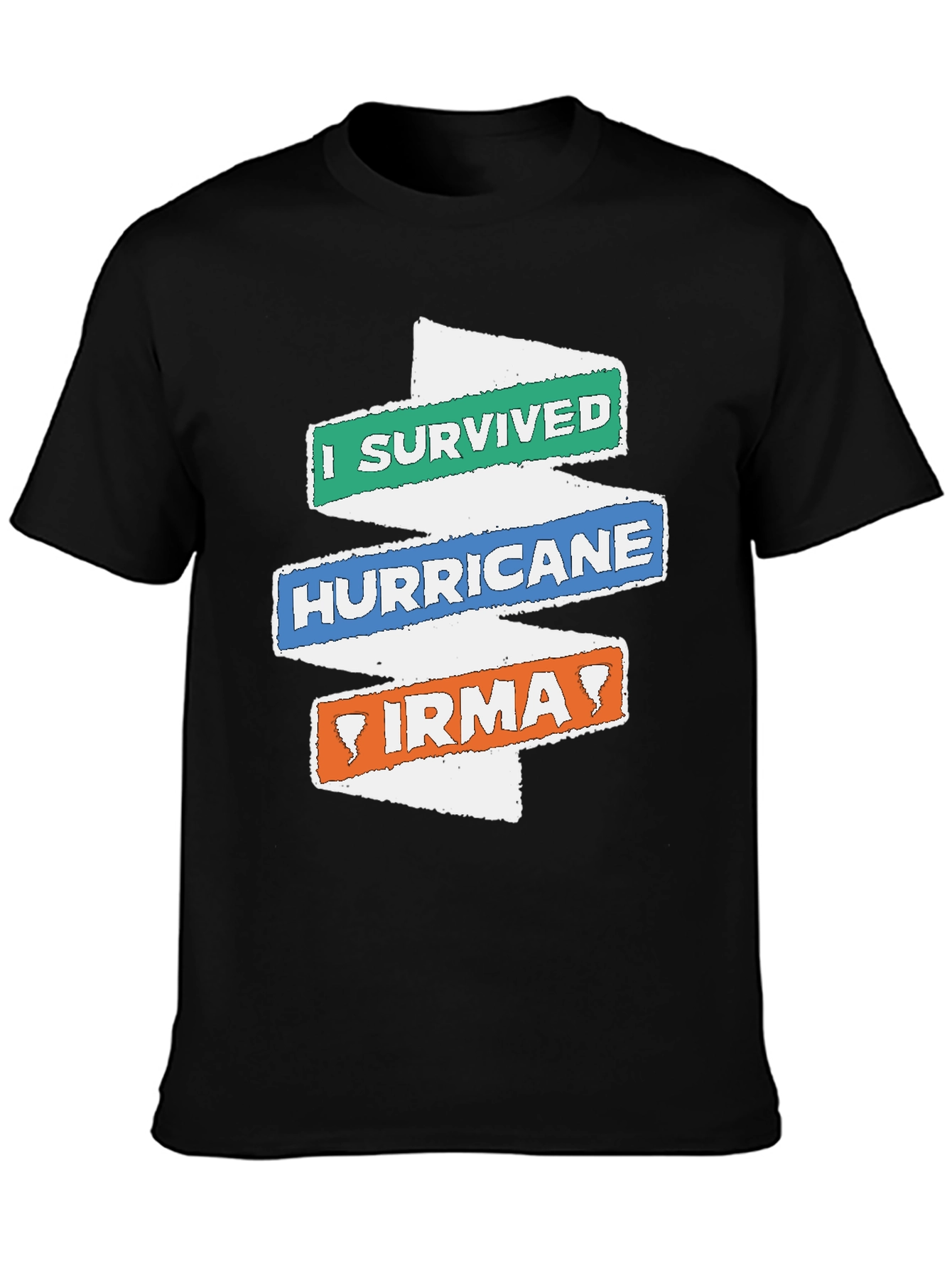 I Survived Hurricane Irma Novelty T-Shirt