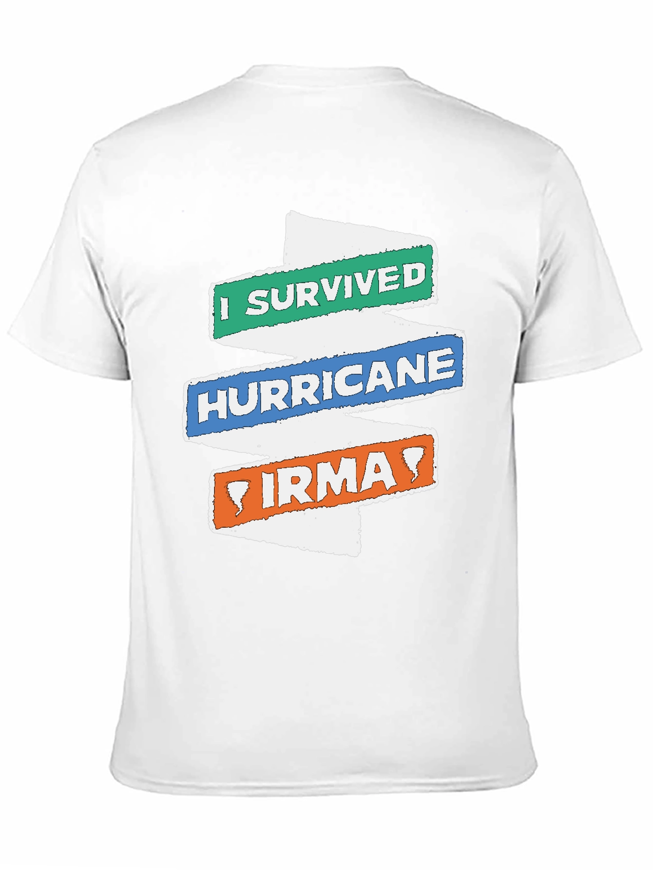 I Survived Hurricane Irma Novelty T-Shirt