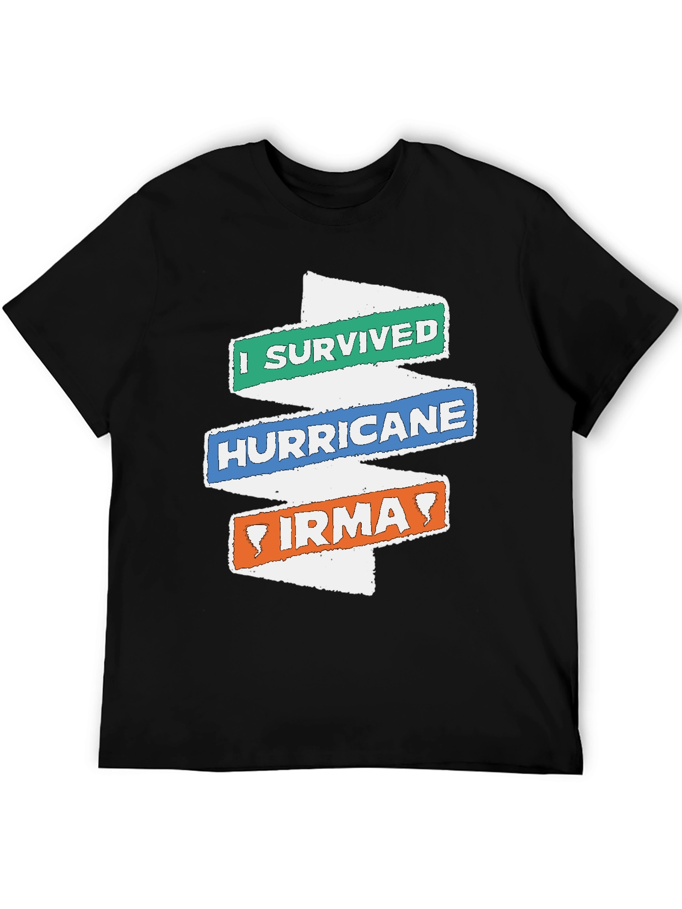 I Survived Hurricane Irma Novelty T-Shirt