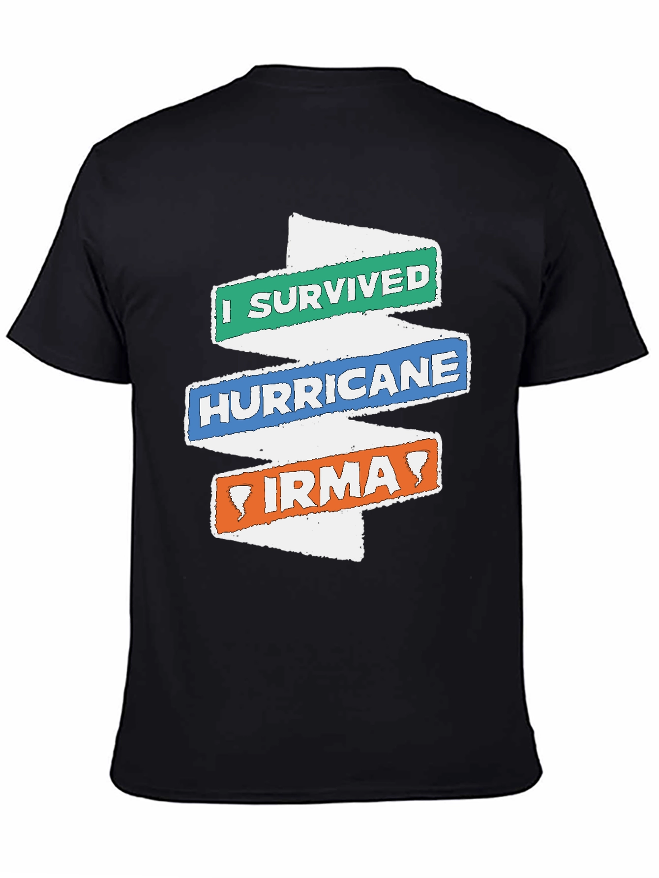 I Survived Hurricane Irma Novelty T-Shirt