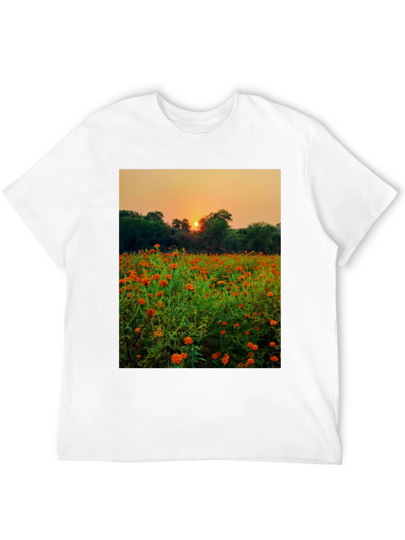 Sunset Field Graphic Tee - Nature Lovers Shirt