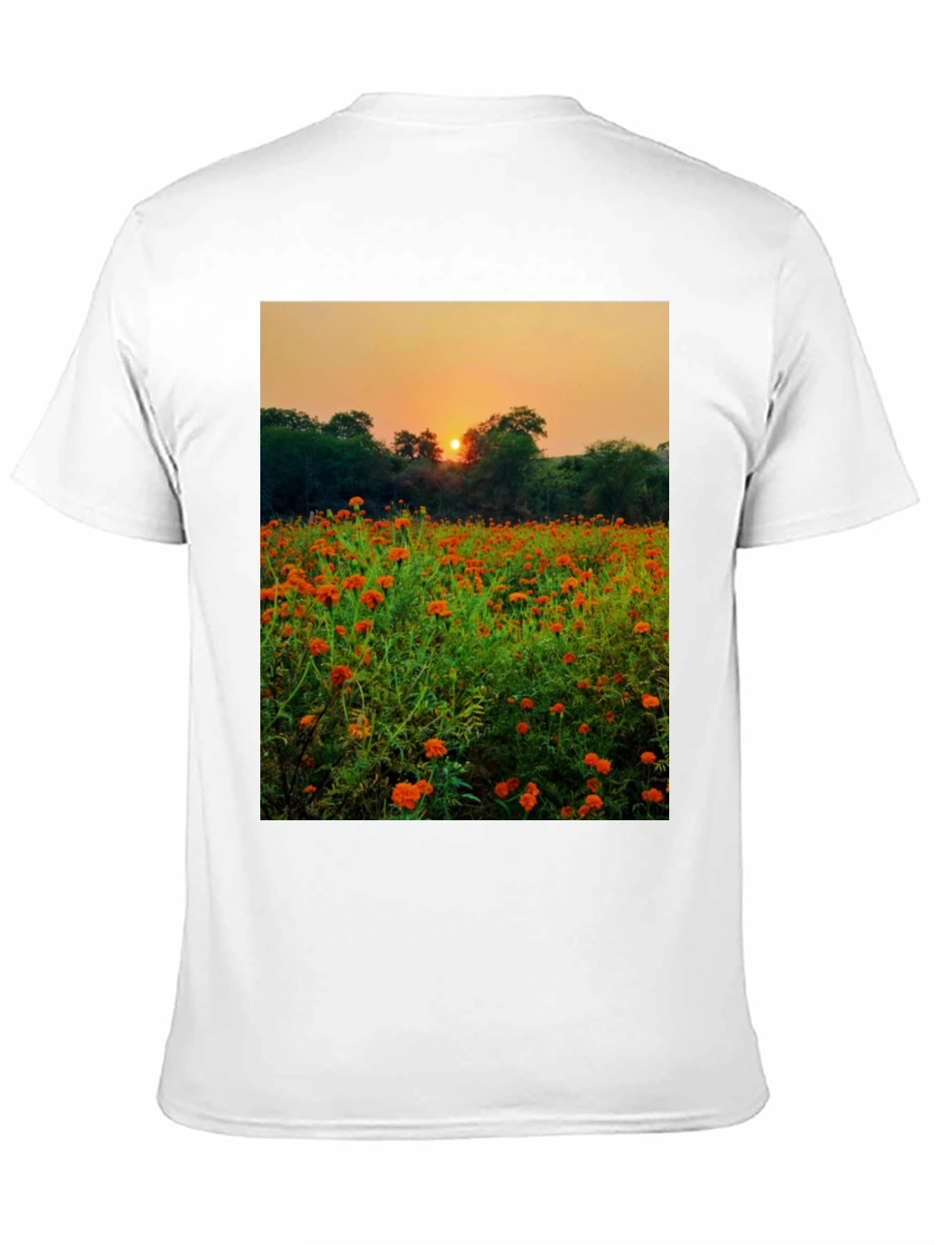 Sunset Field Graphic Tee - Nature Lovers Shirt