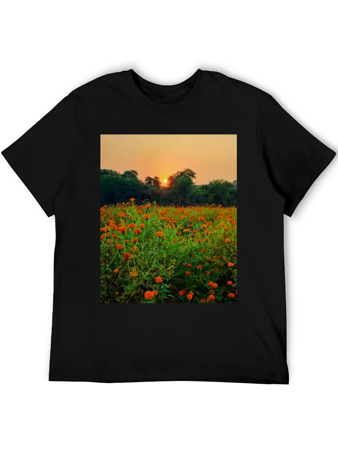 Sunset Field Graphic Tee - Nature Lovers Shirt