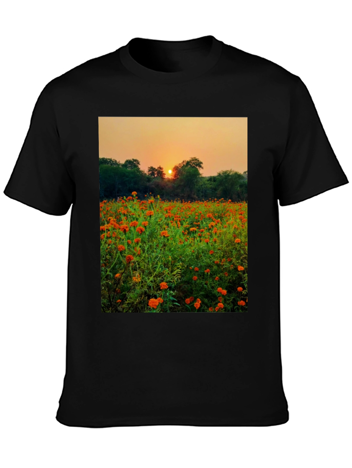 Sunset Field Graphic Tee - Nature Lovers Shirt