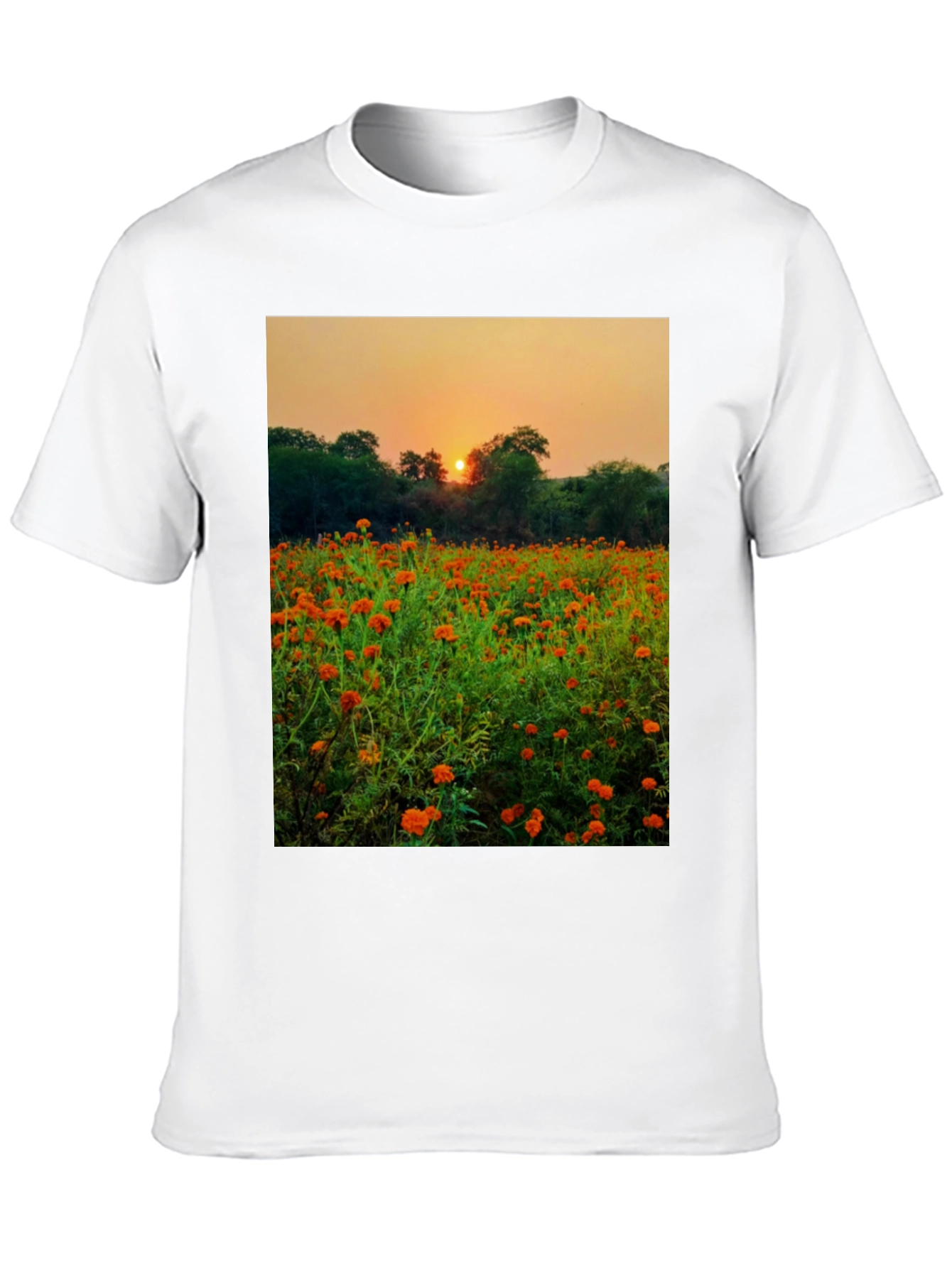 Sunset Field Graphic Tee - Nature Lovers Shirt