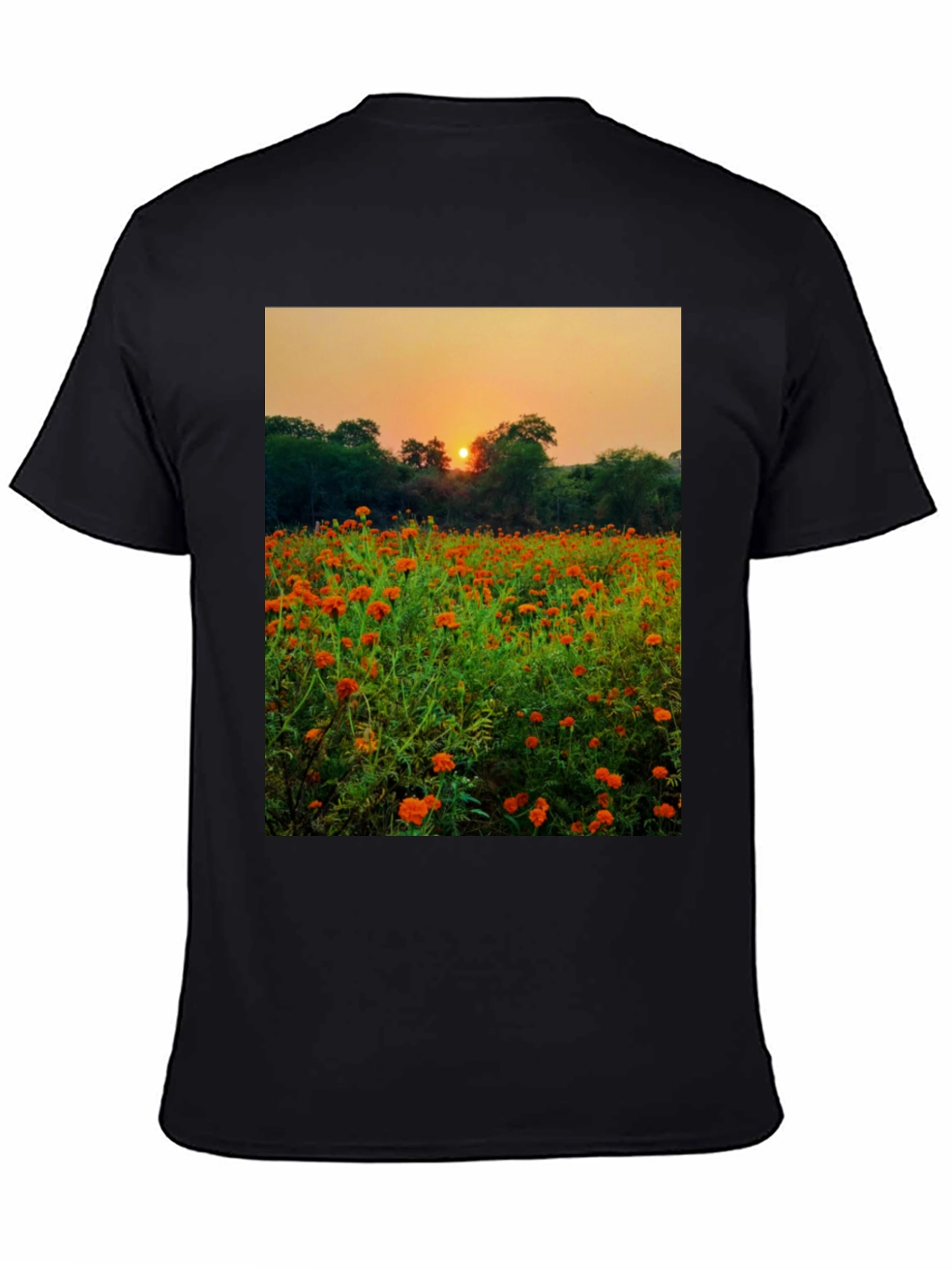 Sunset Field Graphic Tee - Nature Lovers Shirt