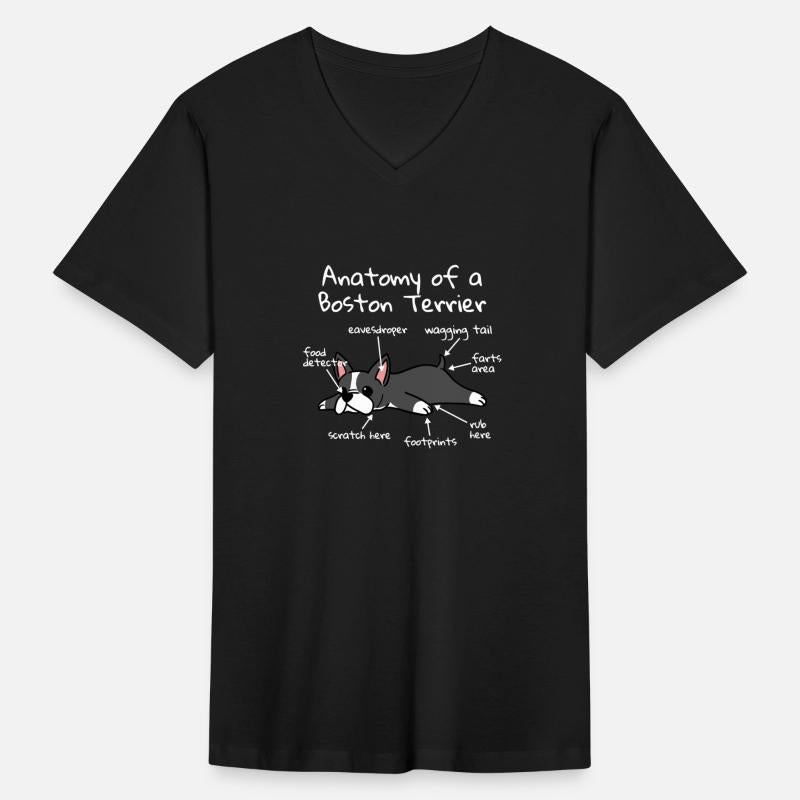 Anatomy Of A Boston Terrier Funny Dog