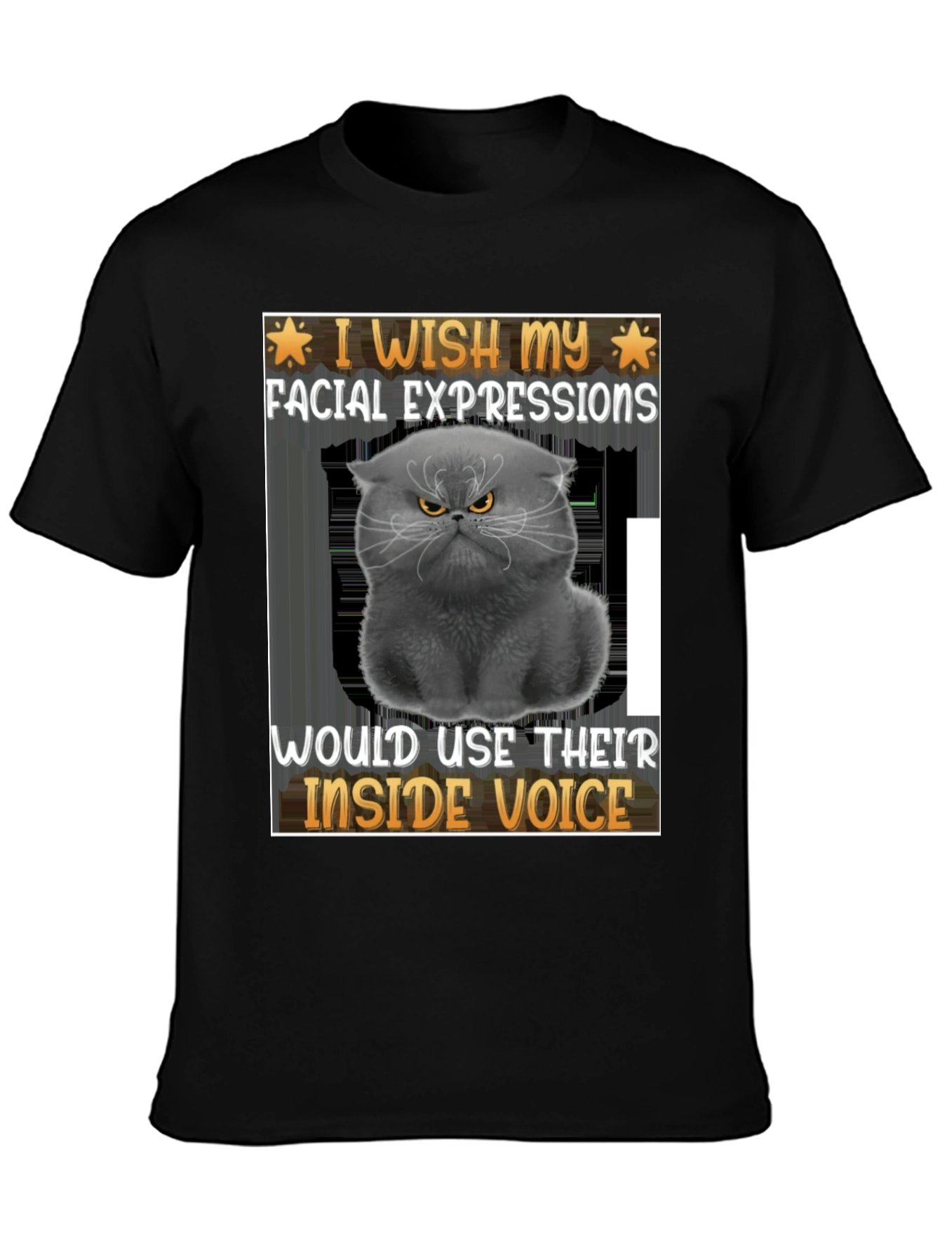 Grumpy Cat Inside Voice Graphic Tee