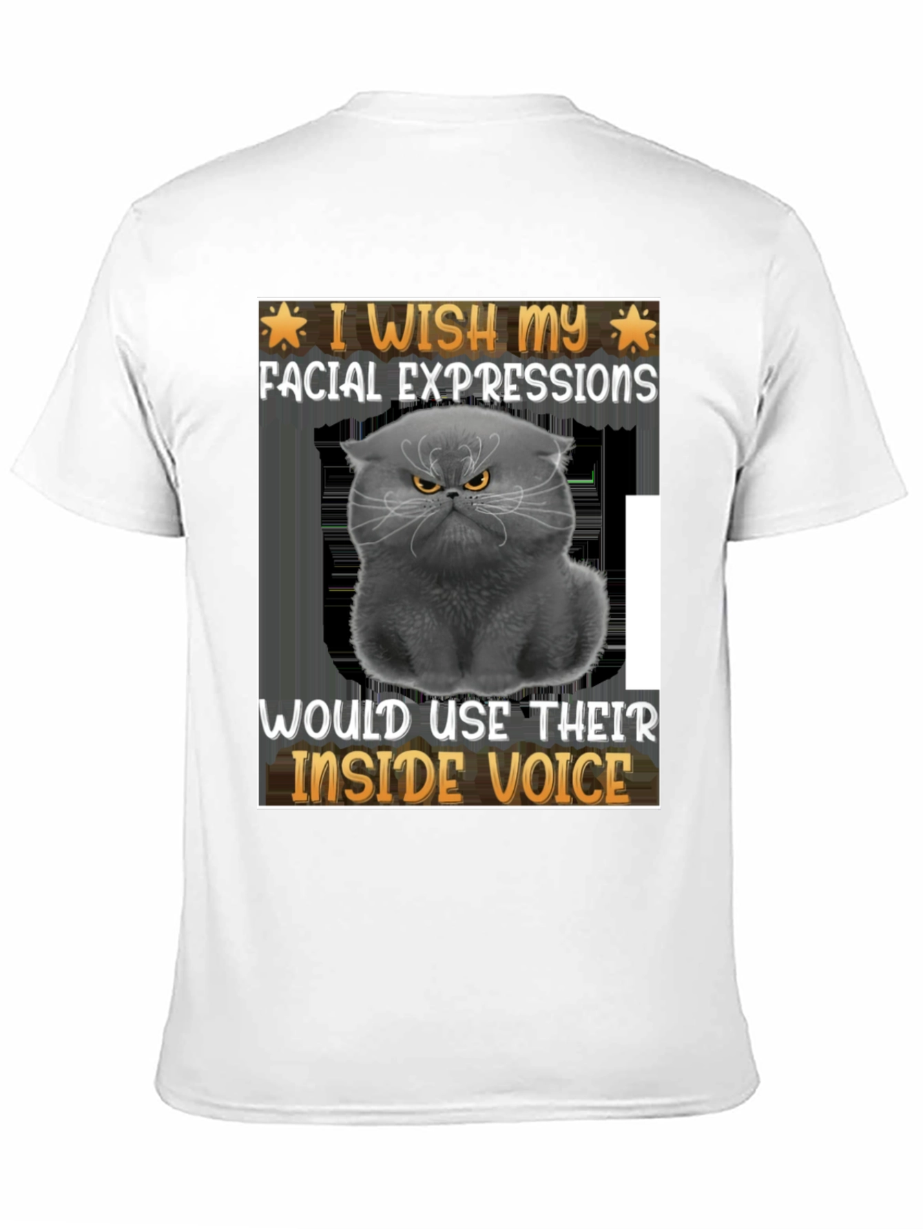 Grumpy Cat Inside Voice Graphic Tee