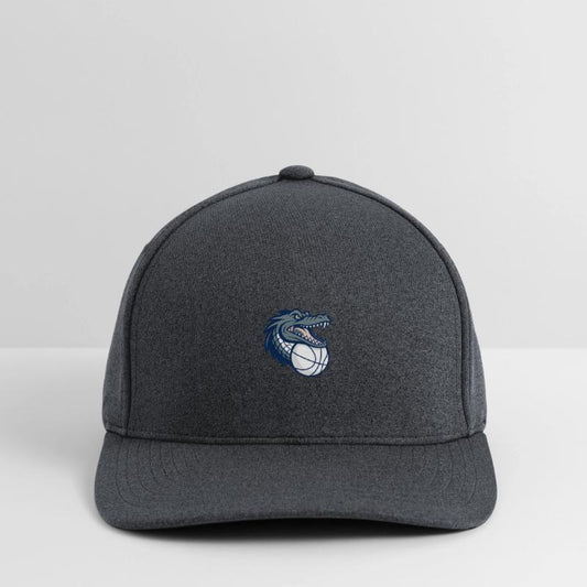 Crocodile with ball. Sports icon