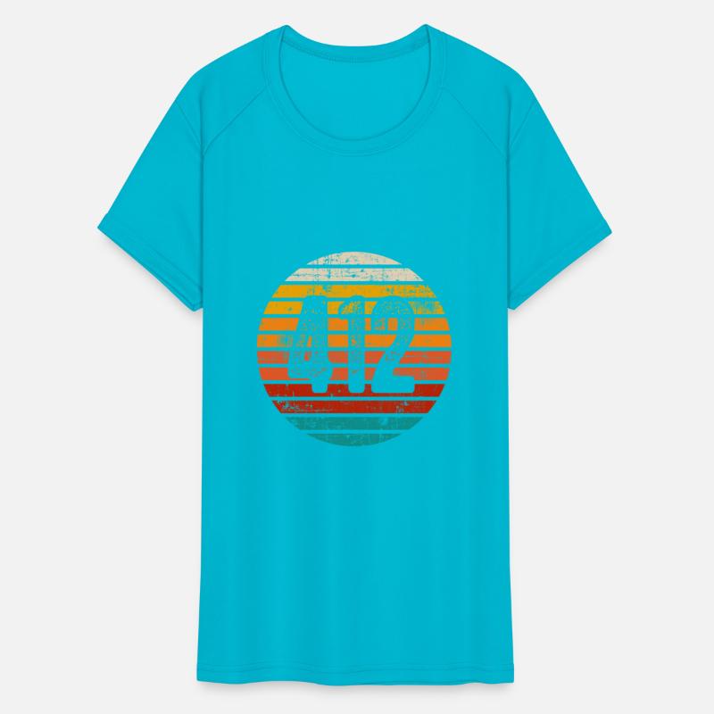 Distressed Vintage Sunset 412 Area Code