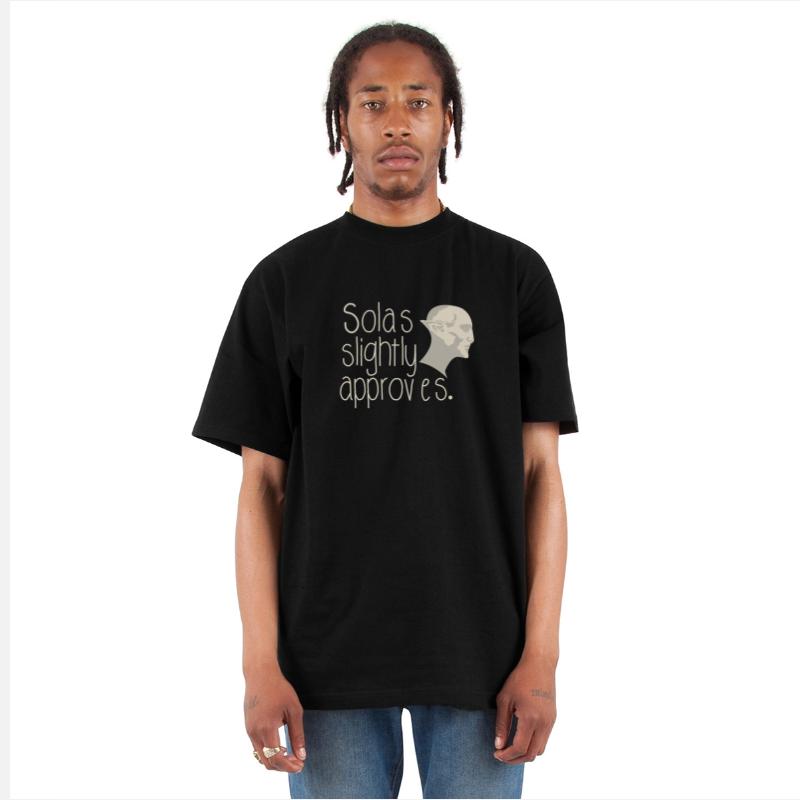 Dragon age - Solas Slightly Approves