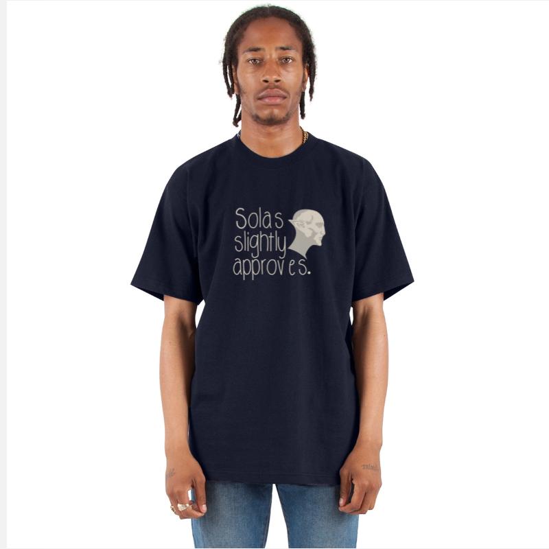 Dragon age - Solas Slightly Approves