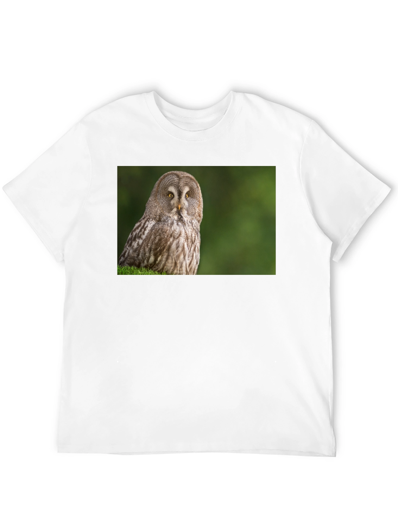 Owl Print Black T-Shirt