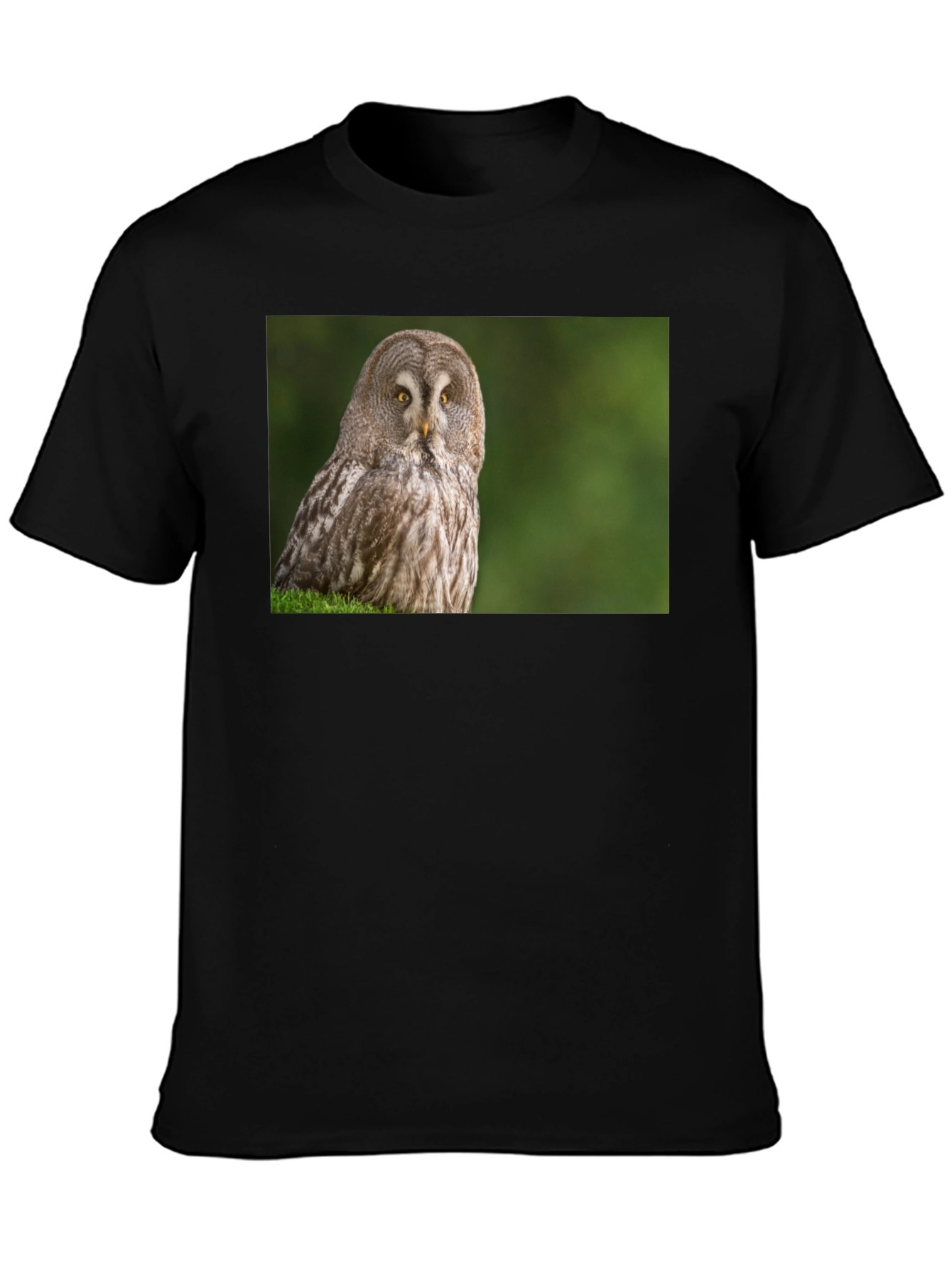 Owl Print Black T-Shirt