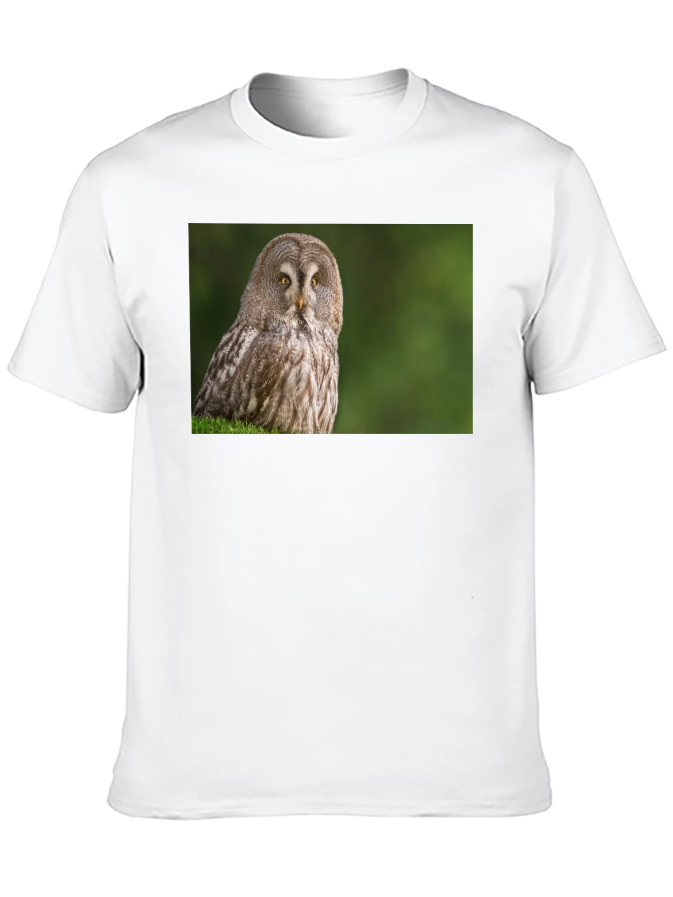 Owl Print Black T-Shirt