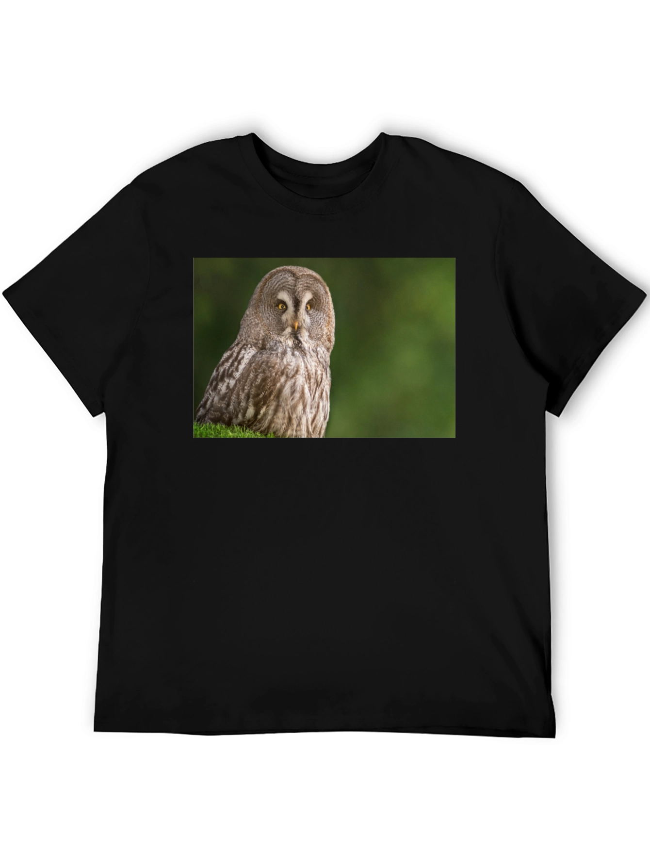 Owl Print Black T-Shirt