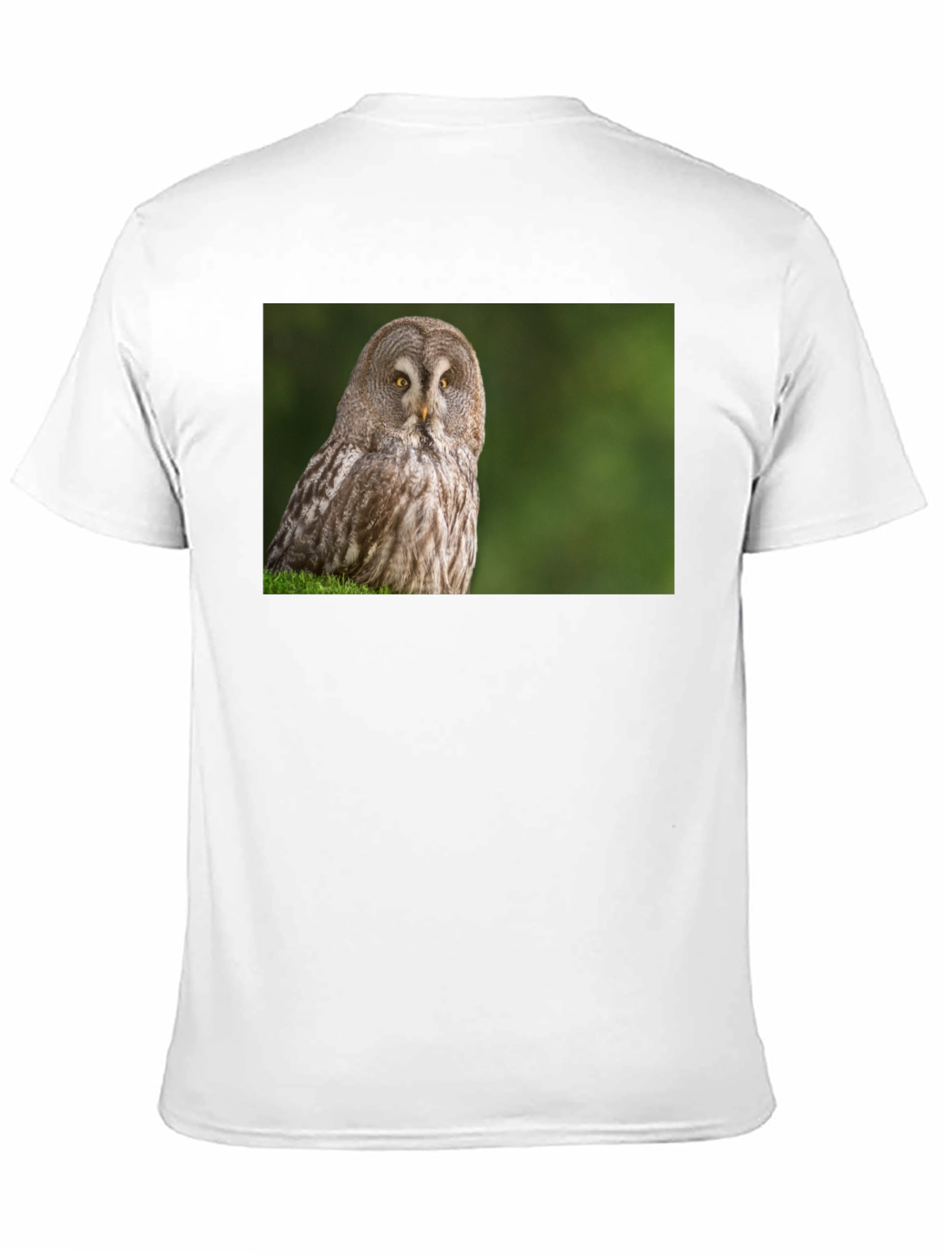 Owl Print Black T-Shirt