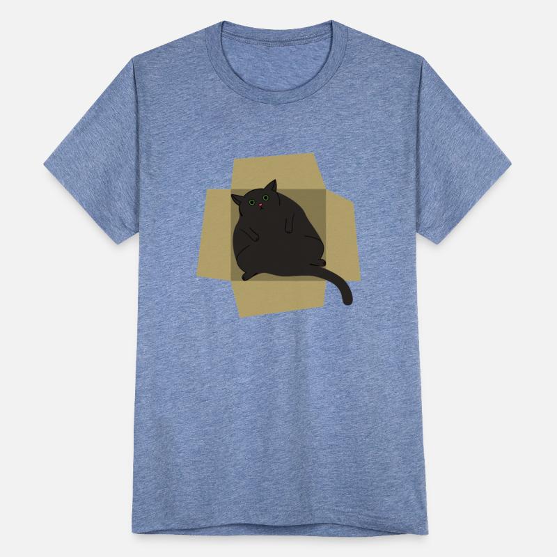 Fatty black cat with green eyes laying in a box