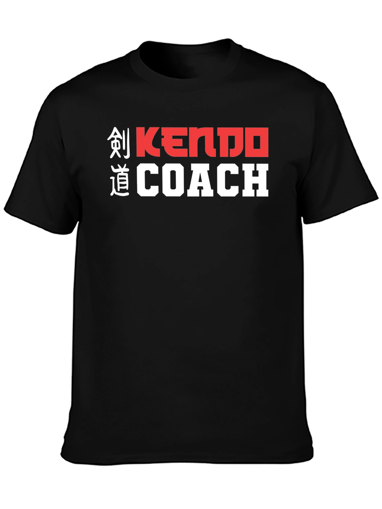 Kendo Coach Graphic Tee - Martial Arts Training Shirt