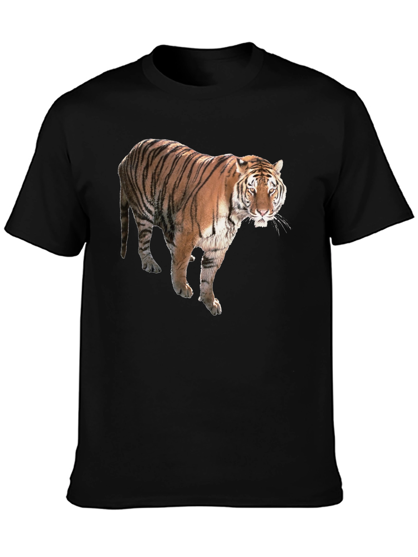 Tiger Graphic Black T-Shirt