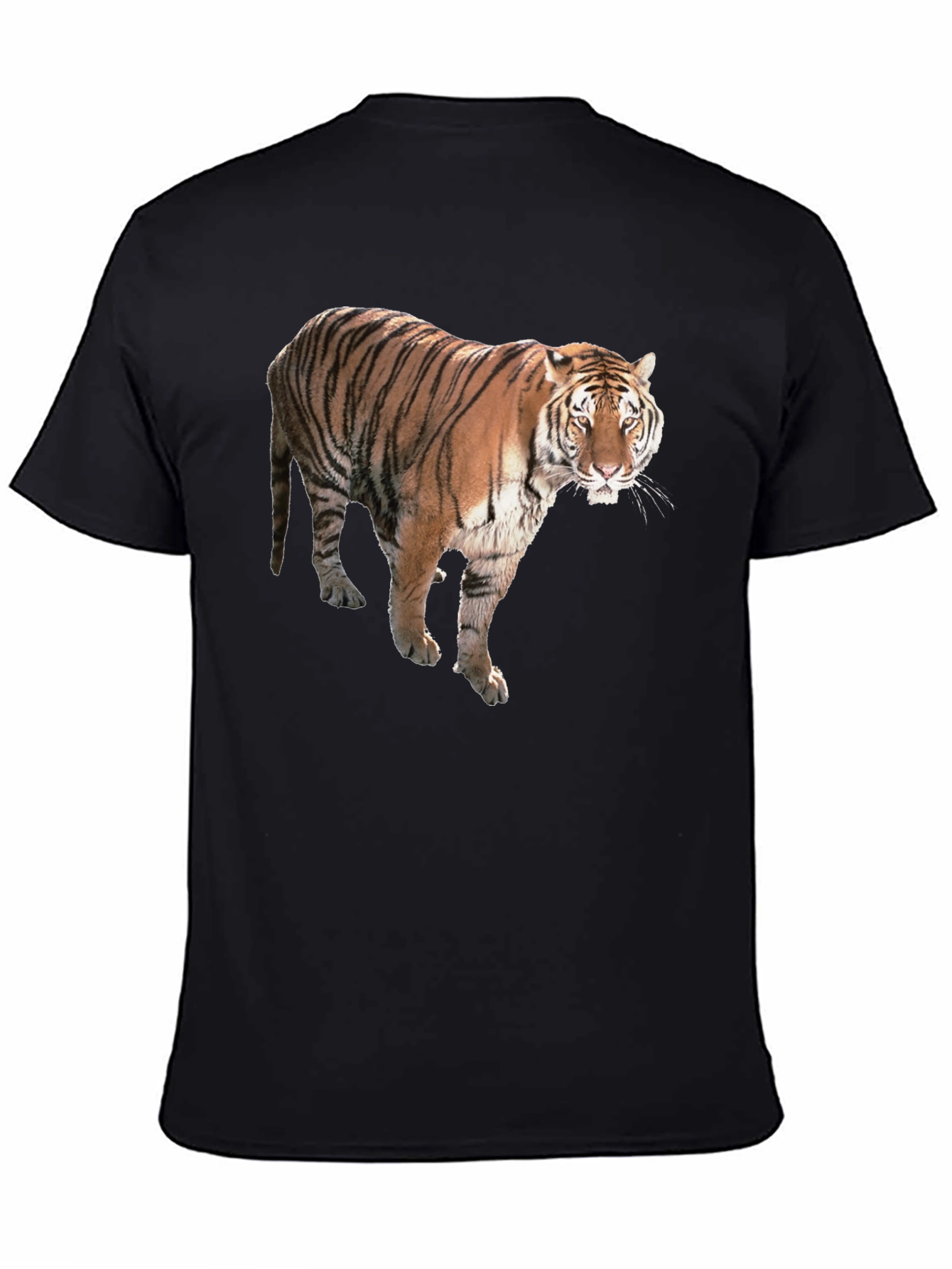 Tiger Graphic Black T-Shirt