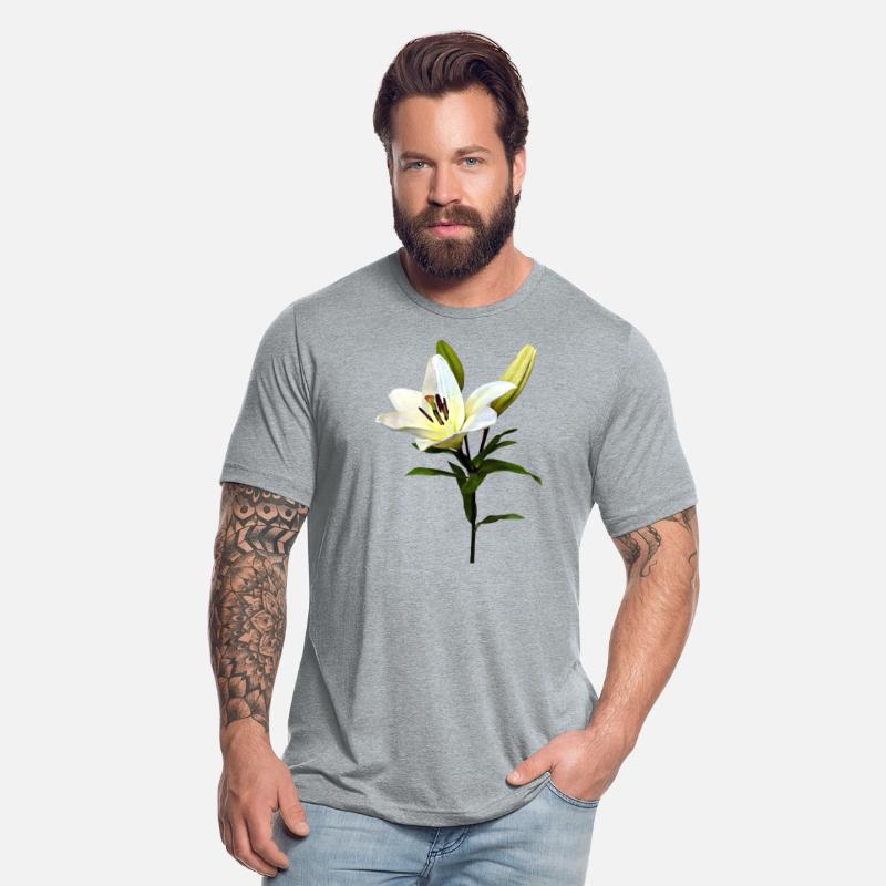 Pale Yellow Lily and Buds