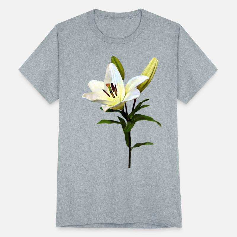 Pale Yellow Lily and Buds