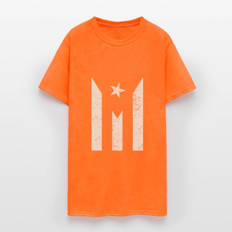 Puerto Rico Resiste Boricua Flag Se Levanta