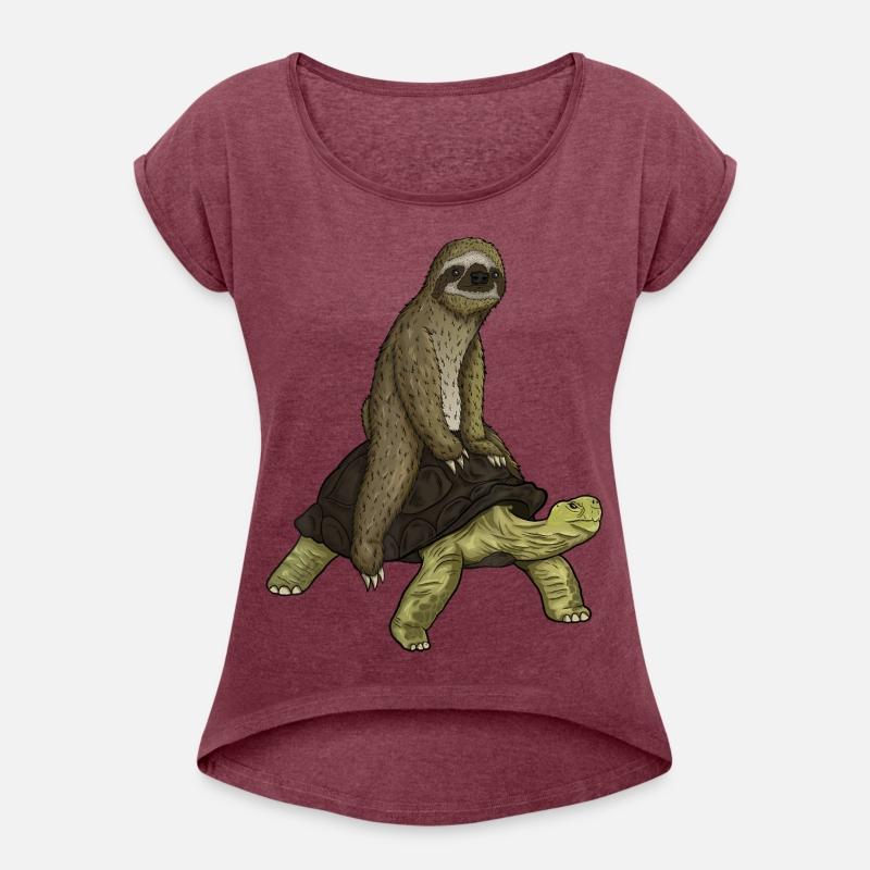sloth turtle speed is relative sloth riding