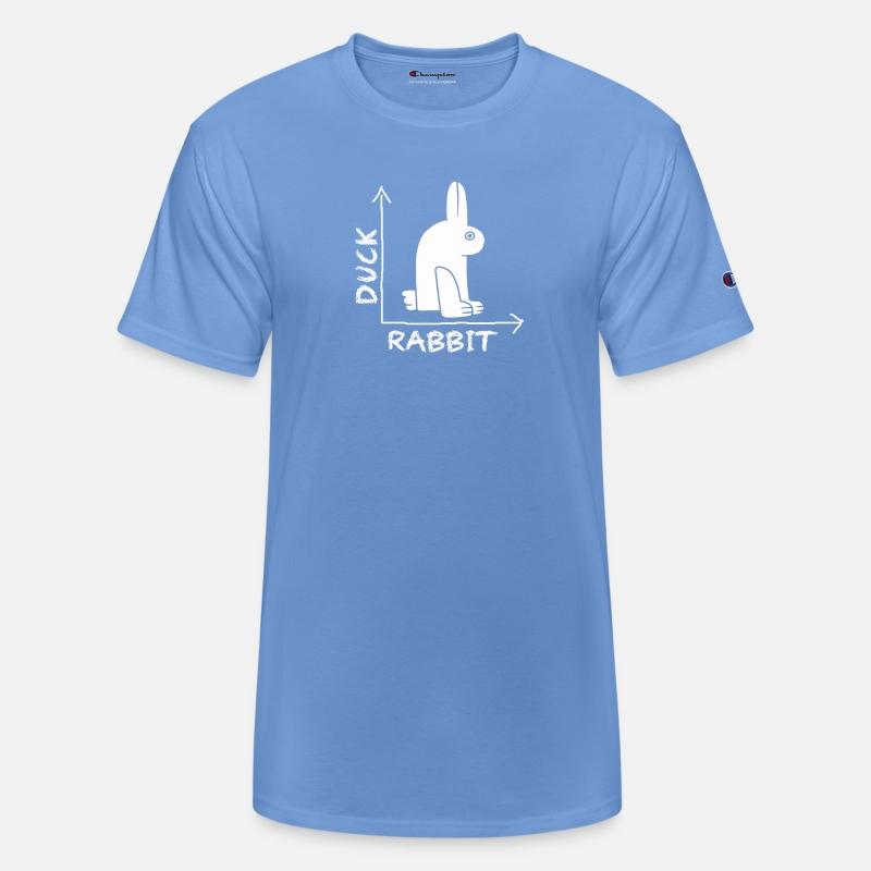 Wittgensteins Rabbit Duck Illusion